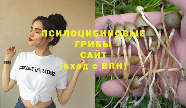 крисы Алексин