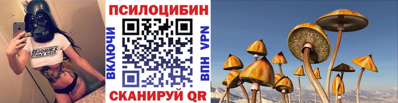 Псилоцибиновые грибы Psilocybine cubensis  купить  цена  Пролетарск 