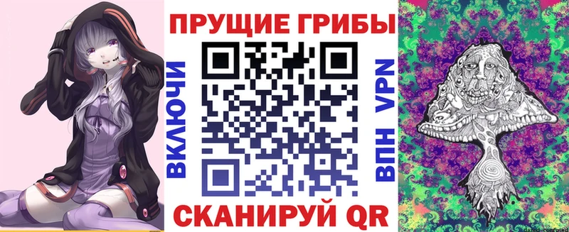 Псилоцибиновые грибы Psilocybe Пролетарск